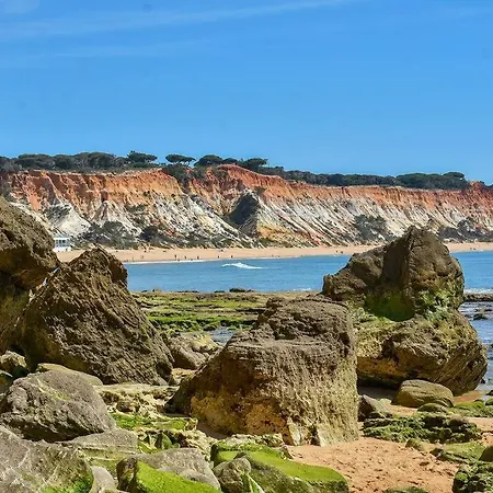 Casa Palmeiras - Com Piscina, Bbq E Ar Condicionado 알부페이라