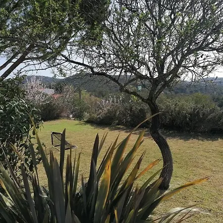 Villa Spacious Family With Private Pool Near Casa Palmeiras