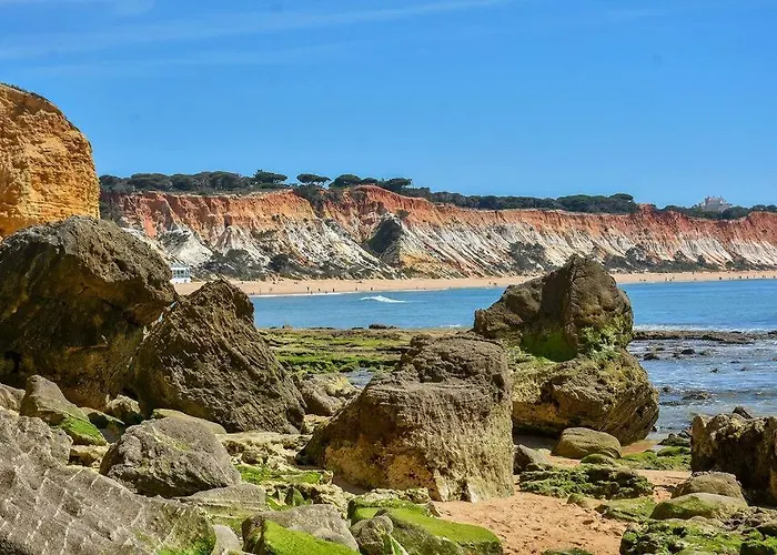 Casa Palmeiras - Com Piscina, Bbq E Ar Condicionado Albufeira